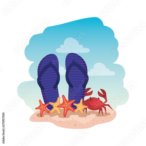 summer flip flops and crab with starfish