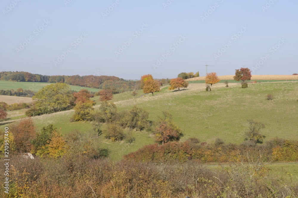 Fototapeta premium Feld