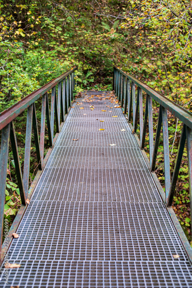 old metal bridge over river in autumn forest