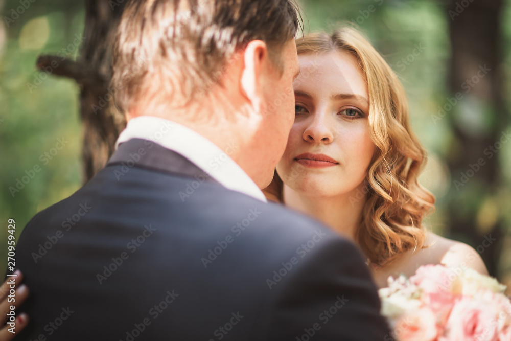 bride and groom kiss on the background of trees and forest bride and groom kiss on the background of trees and forest