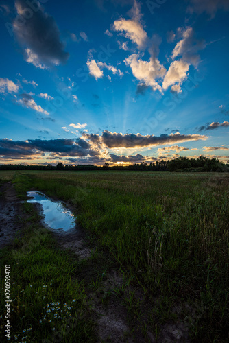 dramatic red sunset colors in the sky above trees and fields