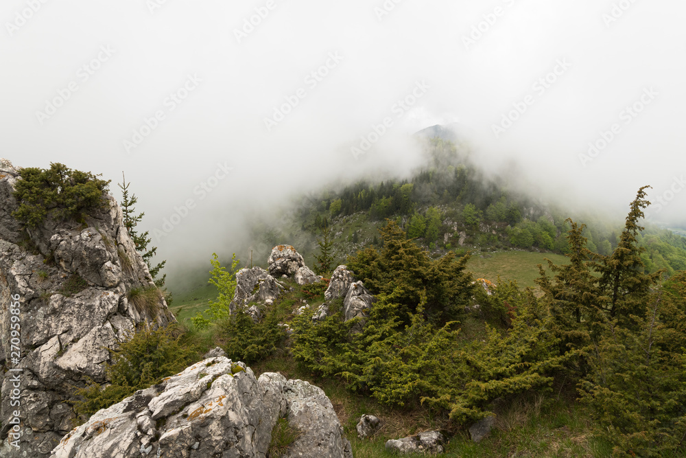 The Fog Quickly Pouring from the Misty Mountains on a Cold Spring Day The Fog Quickly Pouring from the Misty Mountains on a Cold Spring Day