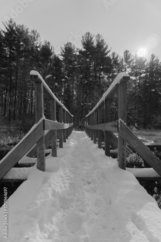 bridge in winter