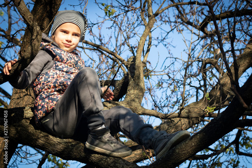A young girl climbs a tree.