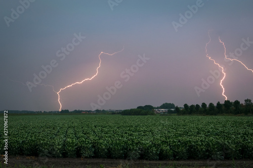 Multiple lightning bolts from a strong september thunderstorm in the dutch countryside at dawn
