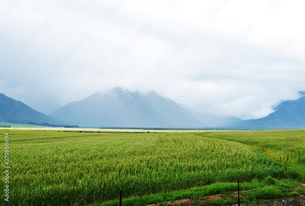 Green field and blue mountain with cloudy sky