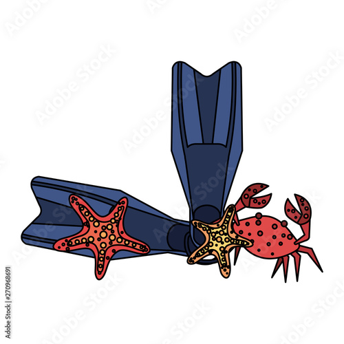 diving fins with crab and starfish