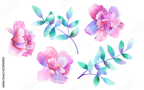 Beautiful purple pink flowers and green purple branches. Floral set. Elements for romantic design. Hand drawn watercolor illustration. Isolated on white background.
