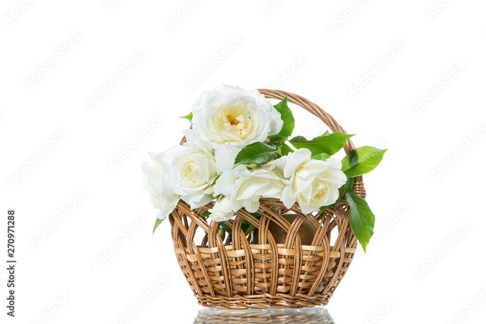 bouquet of beautiful white roses isolated on white