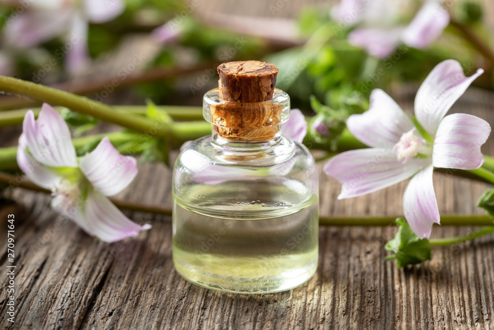 A bottle of mallow essential oil with fresh malva neglecta plant A bottle of mallow essential oil with fresh malva neglecta plant