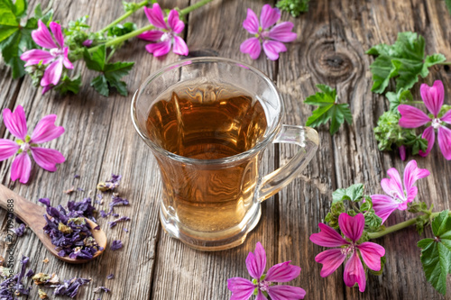 A cup of mallow tea with fresh malva sylvestris plant photo