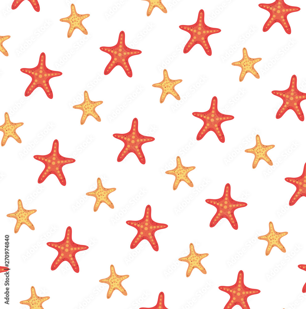 Obraz premium summer starfish animals pattern background