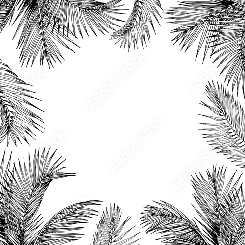 Square frame with tropical palm leaves. Black and white. Hand drawn vector illustration.