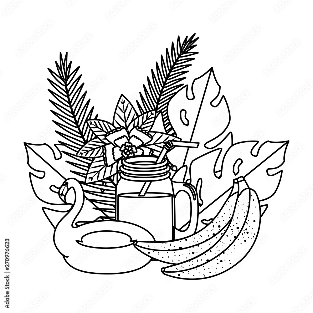 summer leafs plants with flemish float and cocktail summer leafs plants with flemish float and cocktail