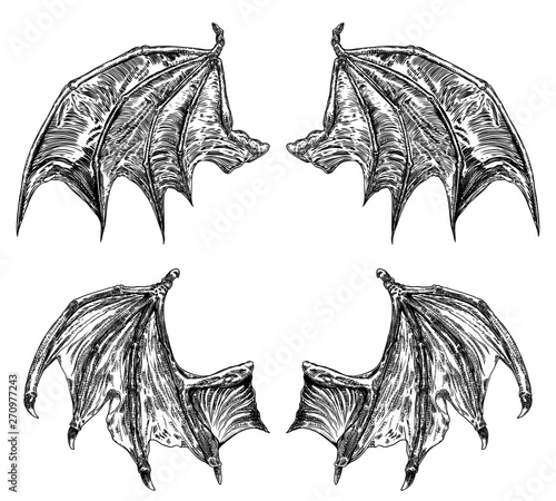 Set of hand drawn vintage etched woodcut fallen angel or vampire detailed wings. Dragon or gargoyle wings. Heraldic wings for tattoo and mascot design. Isolated sketch collection. Vector.
