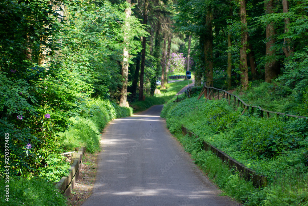 woodland road woodland road
