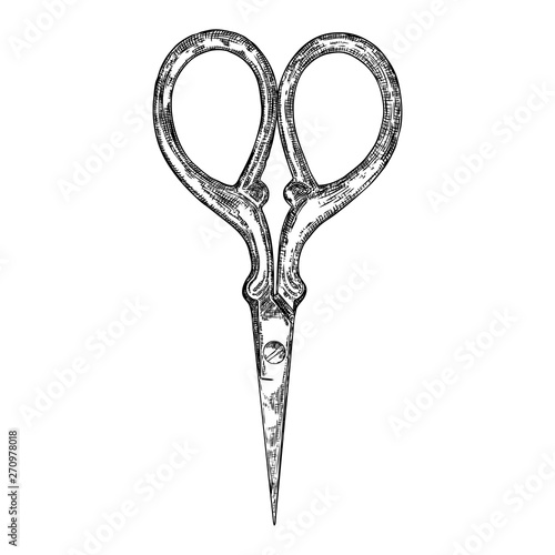 Decorative scissors engraving illustration on white background. Hand drawing. Witch magic tool. Vector.