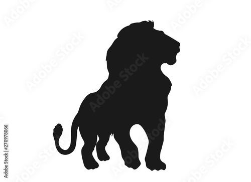 lion silhouette front view. isolated vector image photo