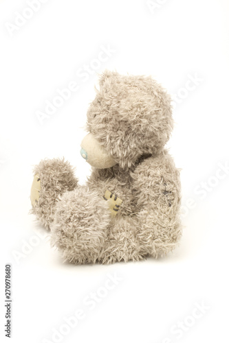 toy bear on white background