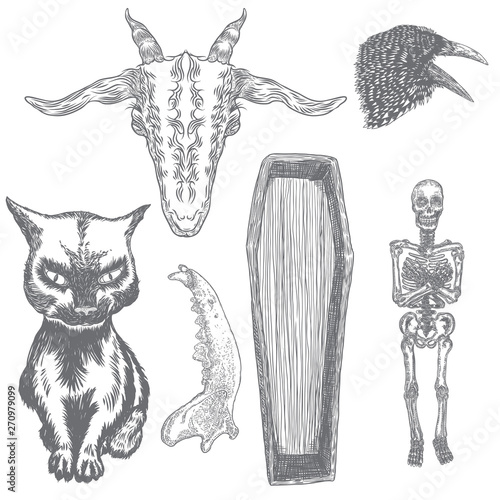 Large alchemy symbol elements set. Birds raven crow, evil goat, coffin with human skeleton, wolf or dog jaw bone, black cat. Spiritual occultism chemistry, magic tattoo sketch. Hand drawing Vector.
