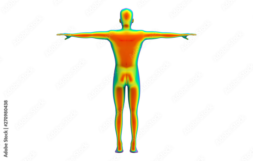 3d rendering. back side of Human body scan by infrared ray structure  measure with clipping path isolated on white background. Illustration Stock  | Adobe Stock