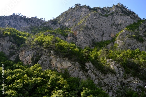 large rocks and trees on them