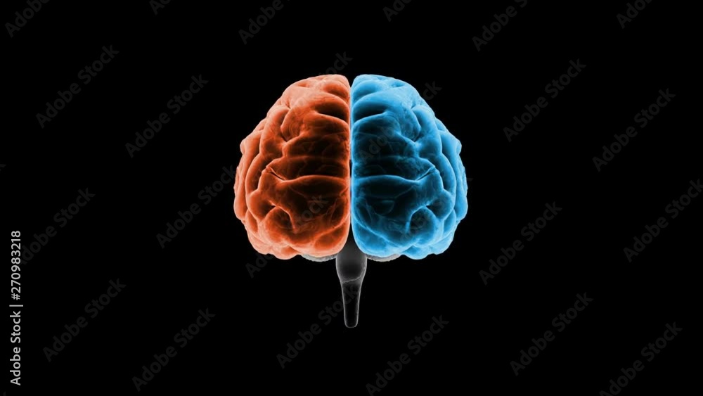 Brain head mind image background Brain head mind image background