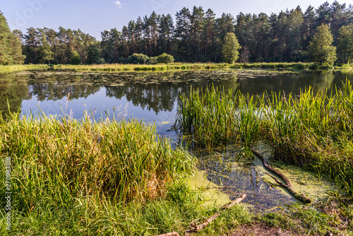 Hidden lake in Tuchola Forest in Kujawy-Pomerania Province of Poland
