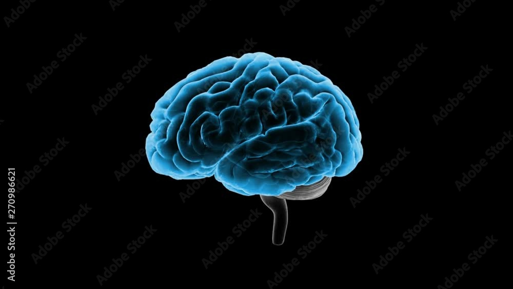 Brain head mind image background Brain head mind image background