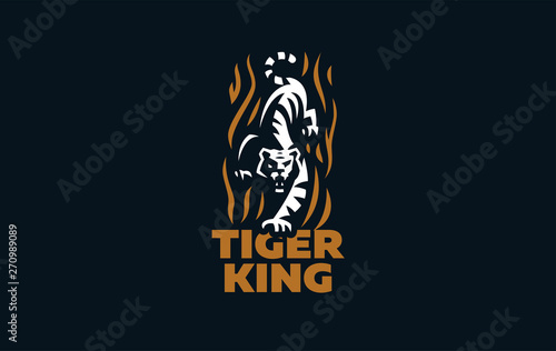The image of a tiger