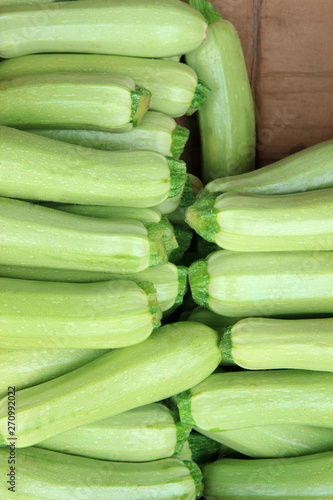 fresh zucchini on the market