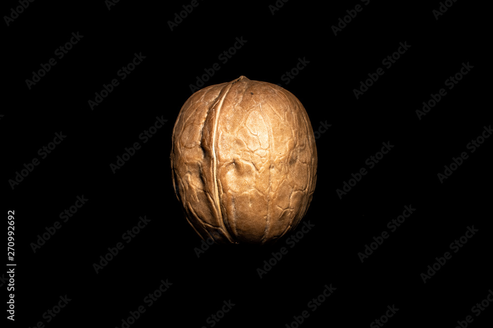 Obraz premium One walnut on dark background