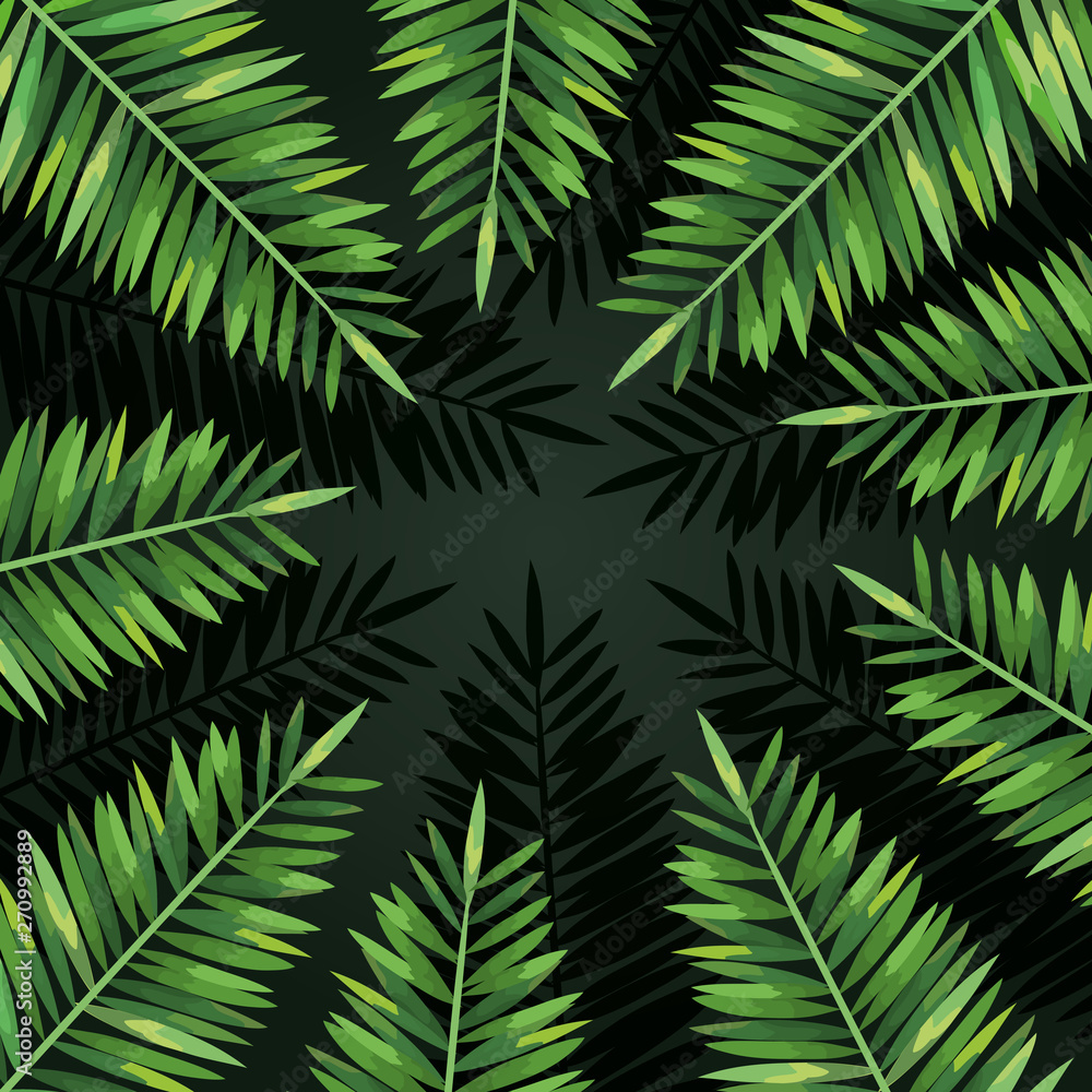 exotic branches leaves nature plants exotic branches leaves nature plants