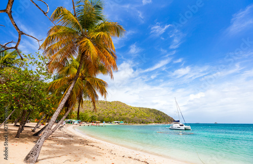 Idyllic beach at Caribbean