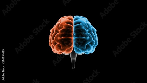 Brain head mind image background
