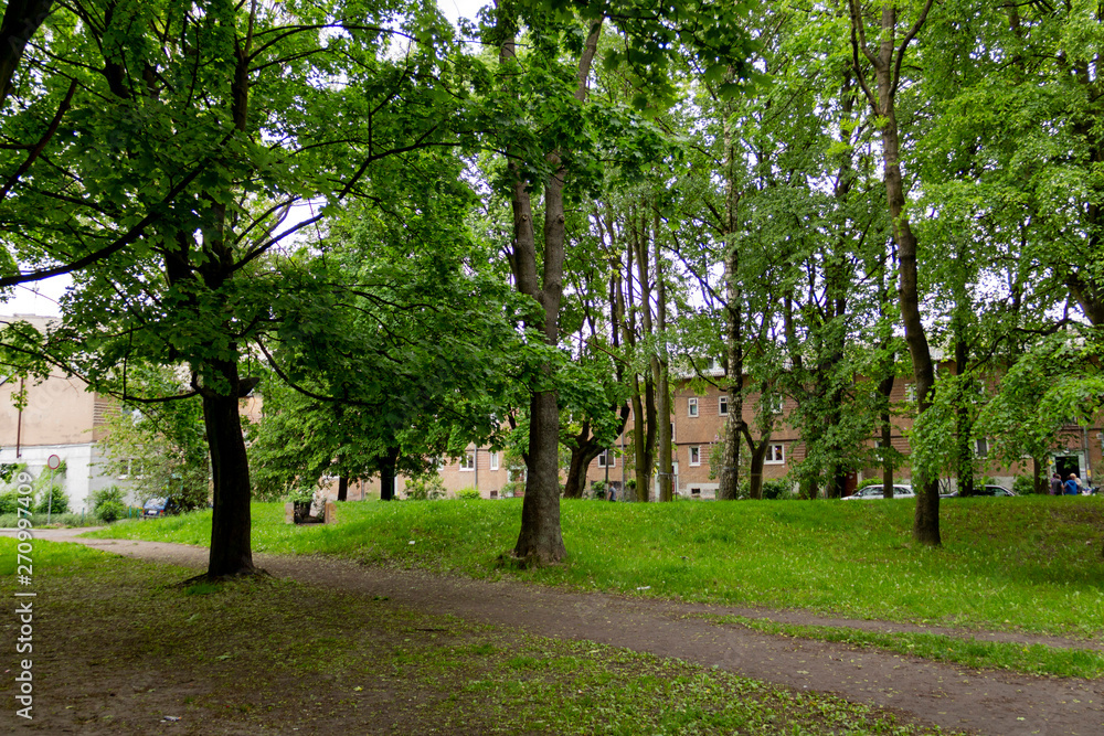 small park on the outskirts of the city with old trees small park on the outskirts of the city with old trees