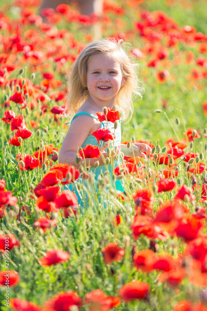 little girl in poppy field little girl in poppy field