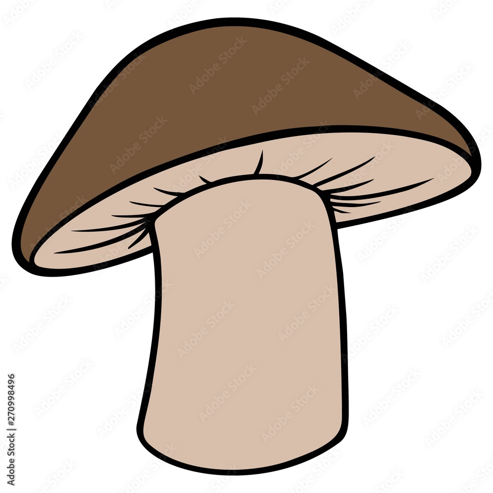 Shiitake Mushroom - A cartoon illustration of a Shiitake Mushroom.