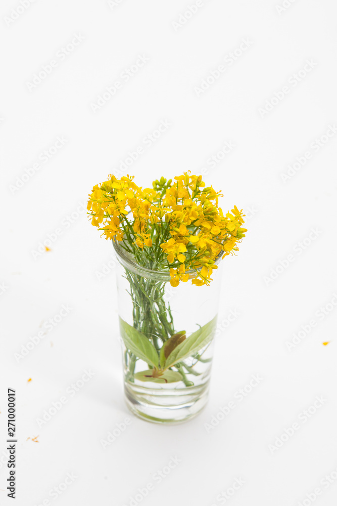  Yellow lined note pad with boutique canola