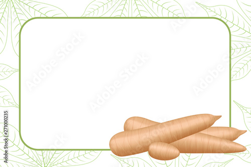 banner frame of cassava fresh for copy space, cassava cut slice for tapioca flour industry or ethanol, pile yucca cassava tuber on frame, raw manioc cassava on template banner green background empty