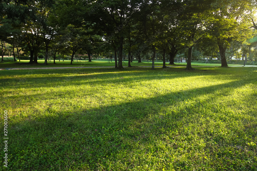Beautiful sunlight of greensward at Orung Royal tombs heritage in Gyeongju, South Korea Beautiful sunlight of greensward at Orung Royal tombs heritage in Gyeongju, South Korea