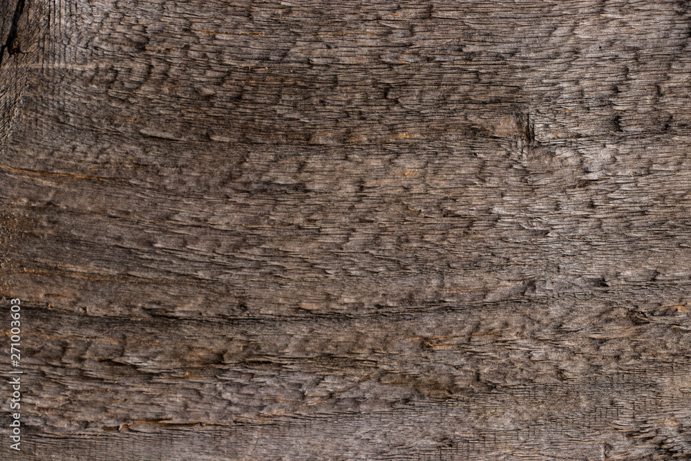 wood grain close up texture wood grain close up texture