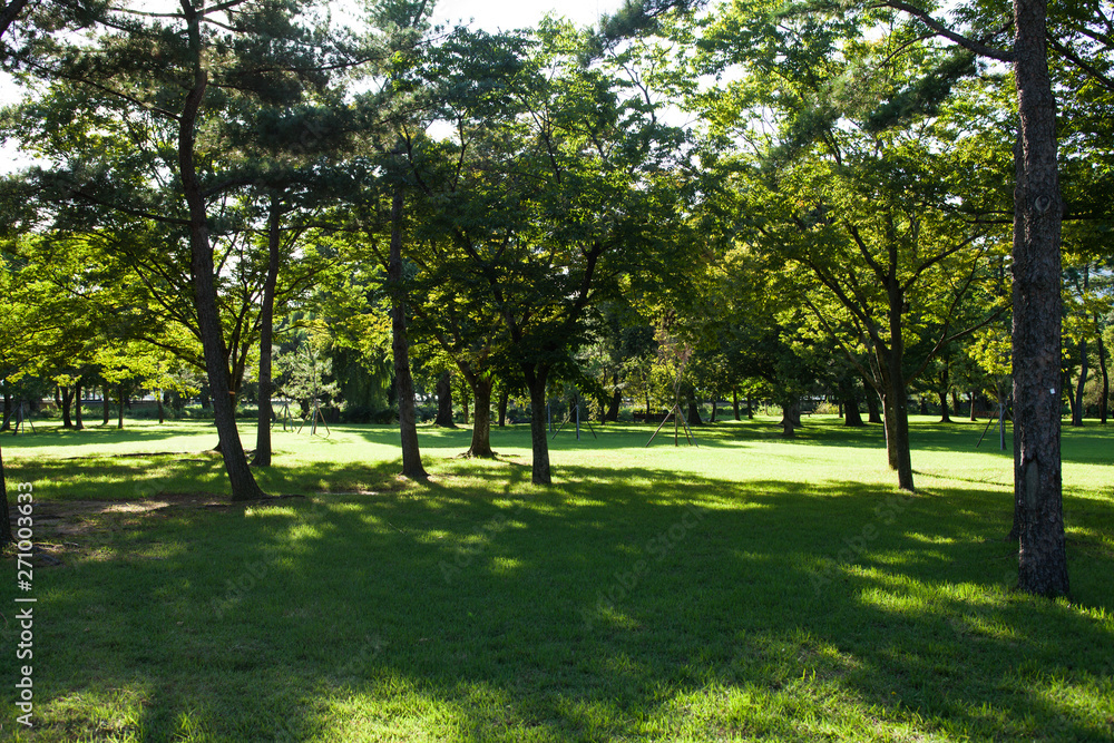 Beautiful sunlight of greensward at Orung Royal tombs heritage in Gyeongju, South Korea Beautiful sunlight of greensward at Orung Royal tombs heritage in Gyeongju, South Korea