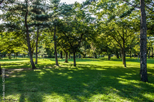 Beautiful sunlight of greensward at Orung Royal tombs heritage in Gyeongju, South Korea