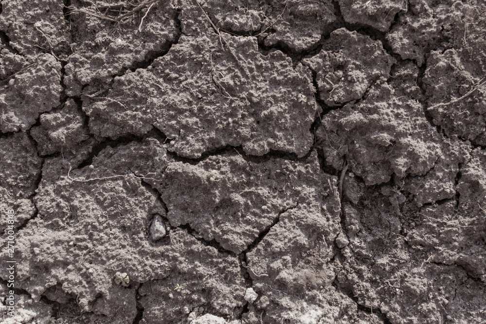 Dry cracked ground. Dry cracked ground.