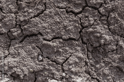 Dry cracked ground. © Konstiantyn Zapylaie