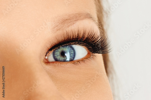 Fototapeta Naklejka Na Ścianę i Meble -  Female eye with extreme long false eye lashes. Eyelash extensions, make-up, cosmetics, beauty