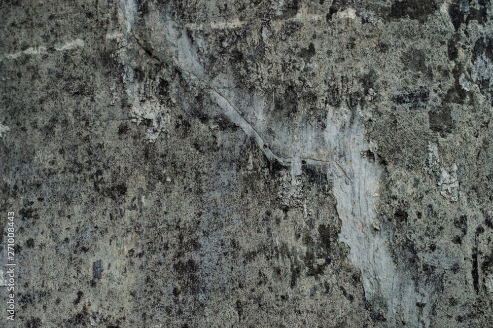 texture of old wall texture of old wall