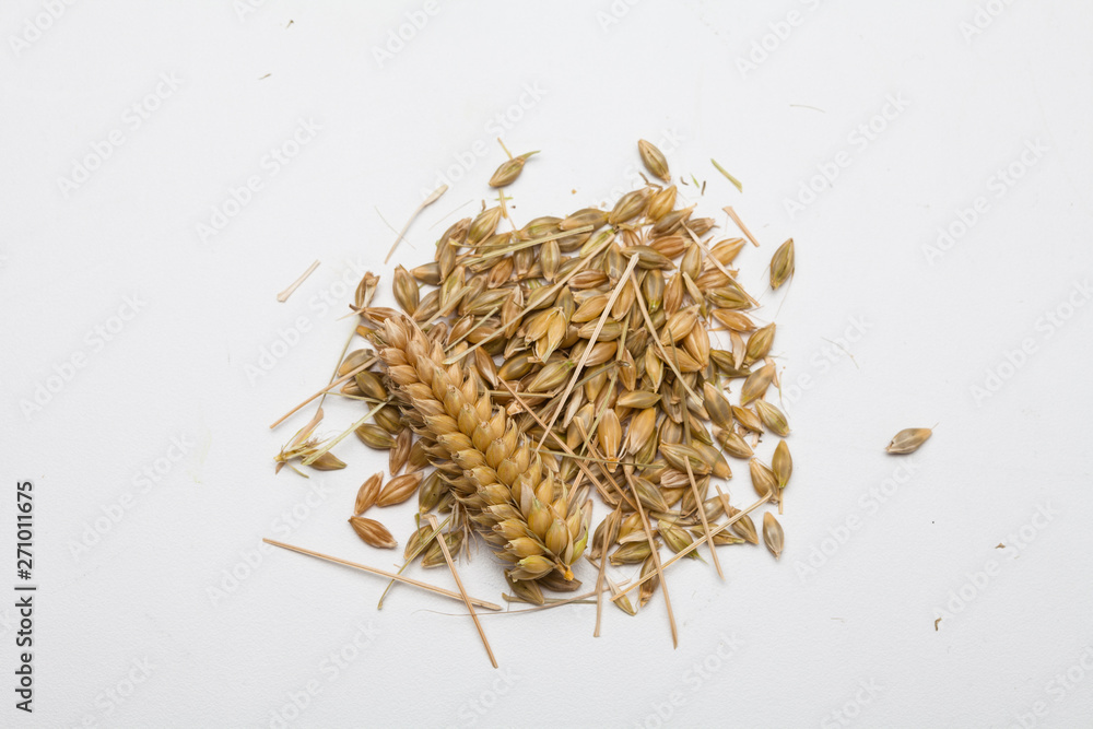 Fototapeta premium Ears of wheat and wheat grains on white background