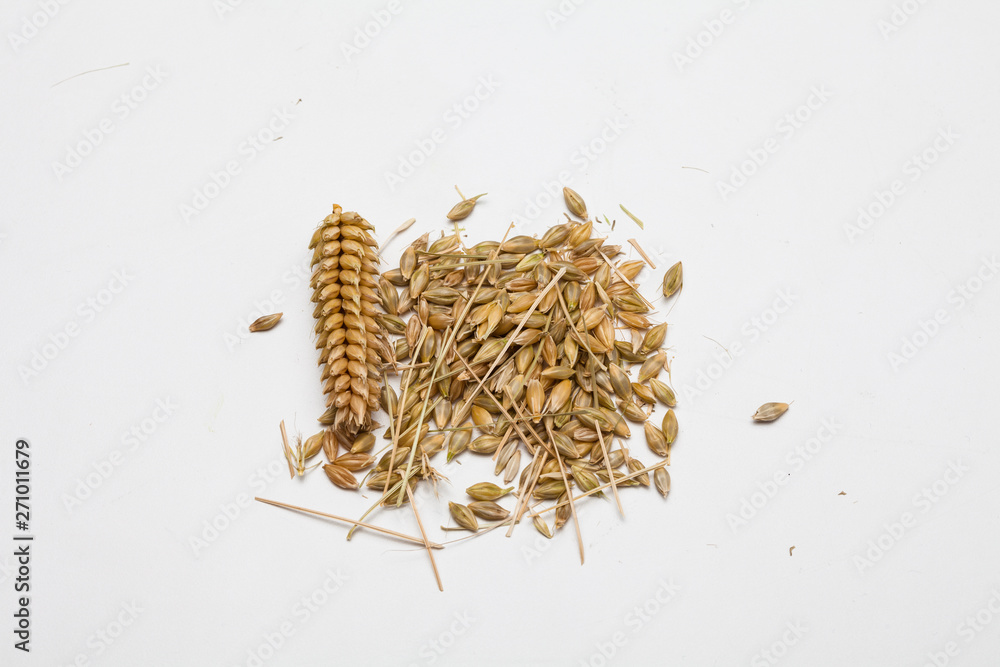 Ears of wheat and wheat grains on white background Ears of wheat and wheat grains on white background